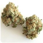 Шишки "White Widow" (Белая вдова) Гидропоника - Бошка VHQ в Брянске Шишки "White Widow" (Белая вдова) Гидропоника - Бошка VHQ в Брянске