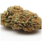 Шишки AK47 (Гидропоника, Бошка) VHQ в Брянске Шишки AK47 (Гидропоника, Бошка) VHQ в Брянске